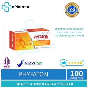 Phyfaton Box | Vit B1 15 mg,vit B2 15 mg